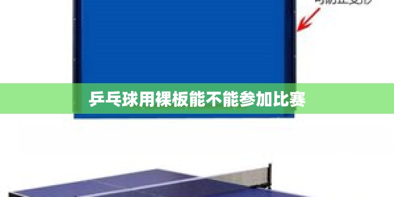 大身材商务悍将 ThinkPad T510全面评测