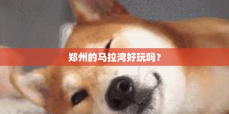 郑州的马拉湾好玩吗？