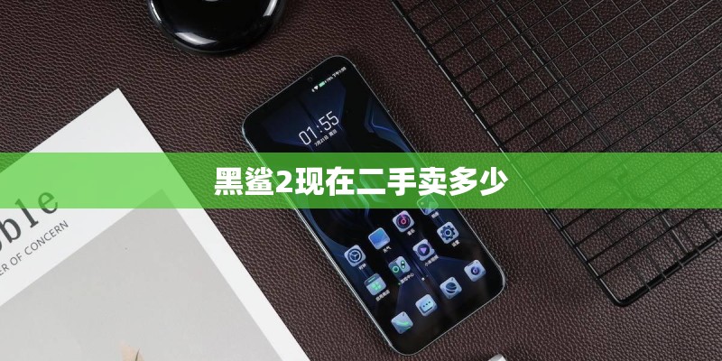 黑鲨2现在二手卖多少 黑鲨2现在二手卖多少