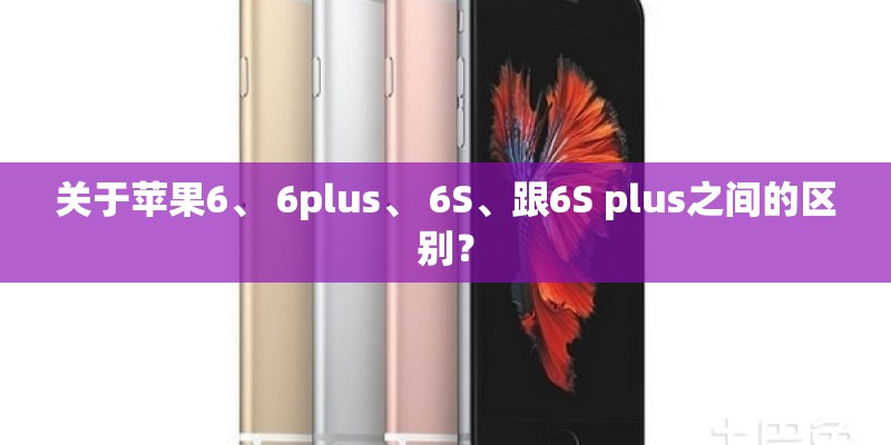 关于苹果6、 6plus、 6S、跟6S plus之间的区别? 关于苹果6、 6plus、 6S、跟6S plus之间的区别?