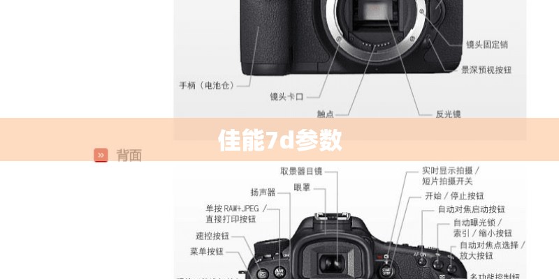 佳能7d参数