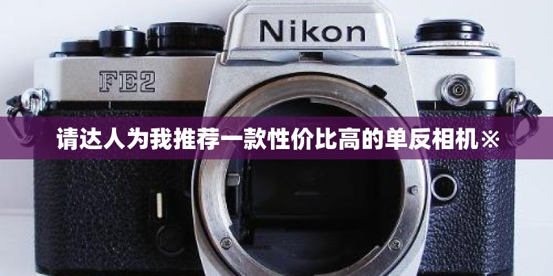 请达人为我推荐一款性价比高的单反相机※