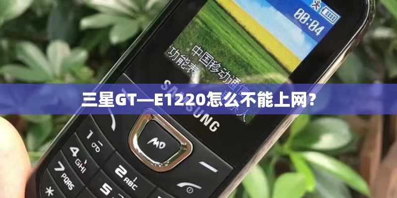 三星GT—E1220怎么不能上网？
