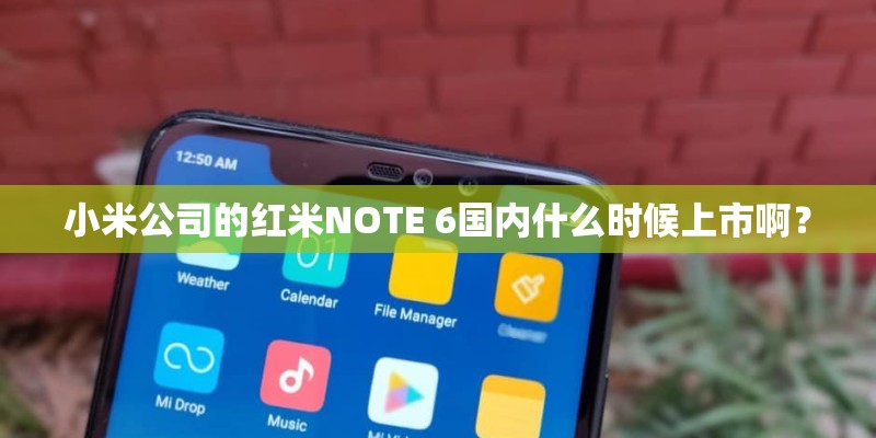 小米公司的红米NOTE 6国内什么时候上市啊？